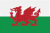 Flag of Wales: white and green bicolor with a red dragon on top of it.